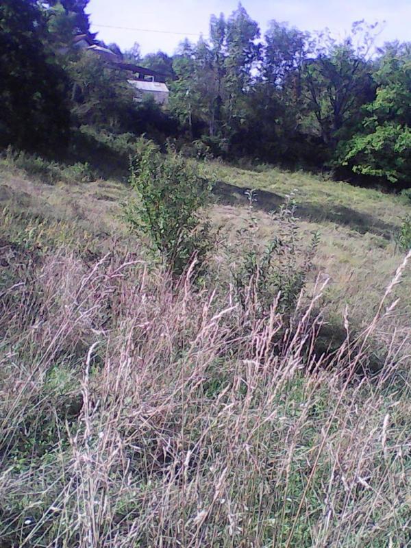 Terrain constructible - 8 317 m²