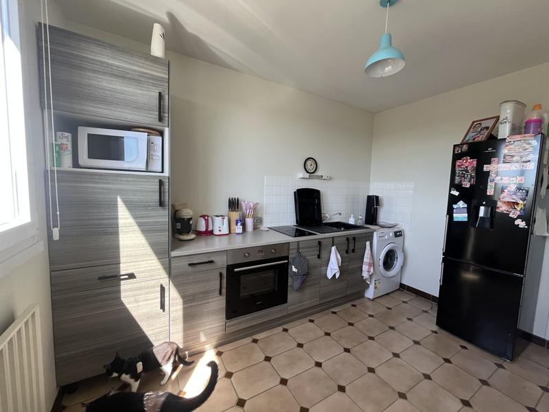 Appartement - 50 m² - 2 pièces