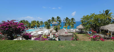 Appartement - 19 m² - 1 pièce