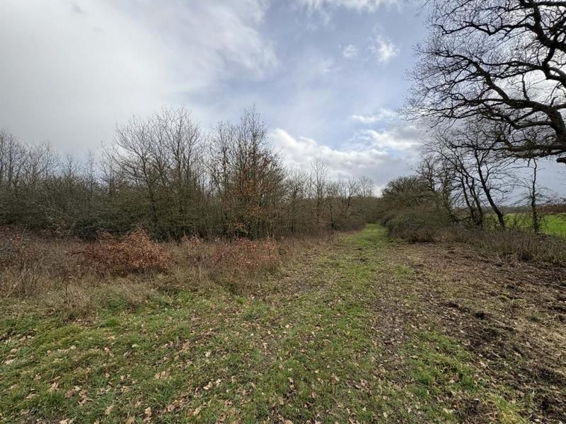 Étang - 123 995 m²