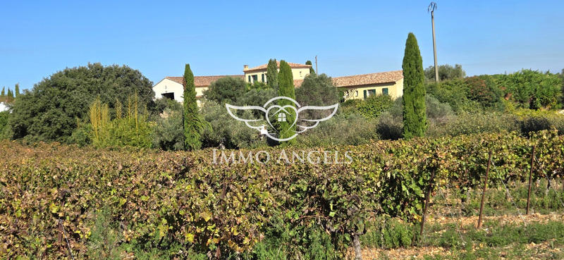 Mas - 240 m² - 13 pièces