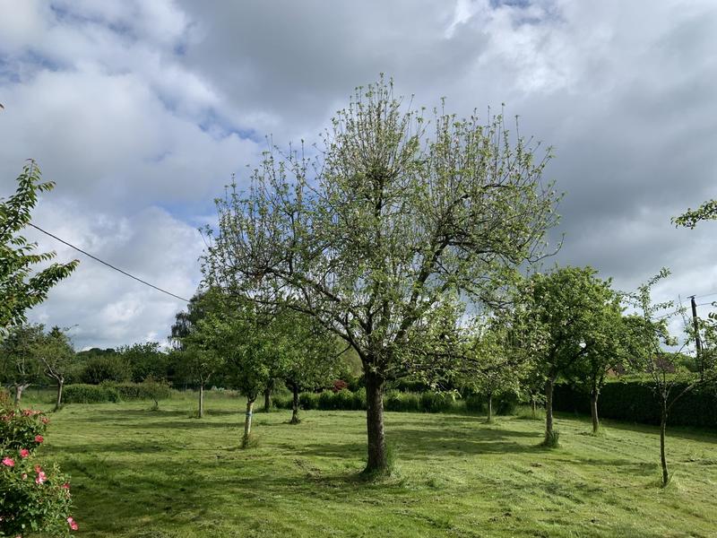 Maison - 179 m² - 6 pièces