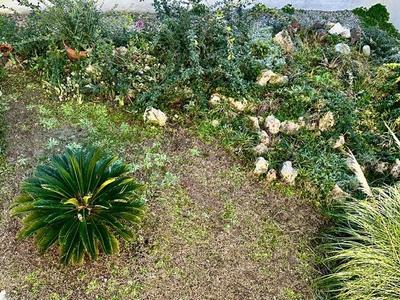 Maison - 175 m² - 5 pièces