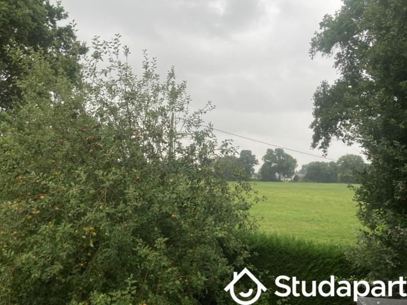 Chambre - 12 m² - 1 pièce