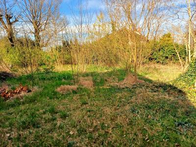 Maison - 40 m² - 1 pièce