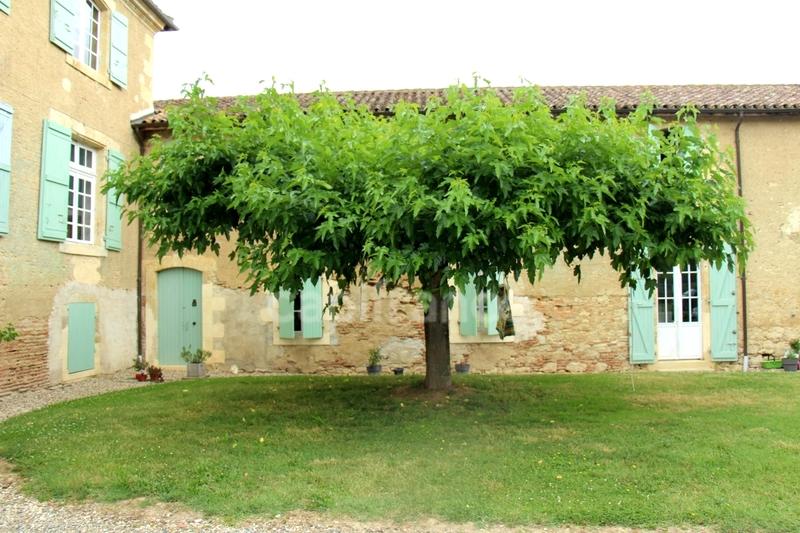 Château - 815 m² - 15 pièces
