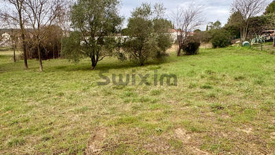 Terrain - 1 000 m²