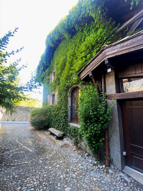 Maison ancienne - 179 m² - 10 pièces