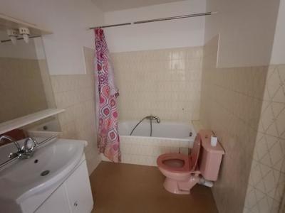 Studio - 37 m² - 1 pièce