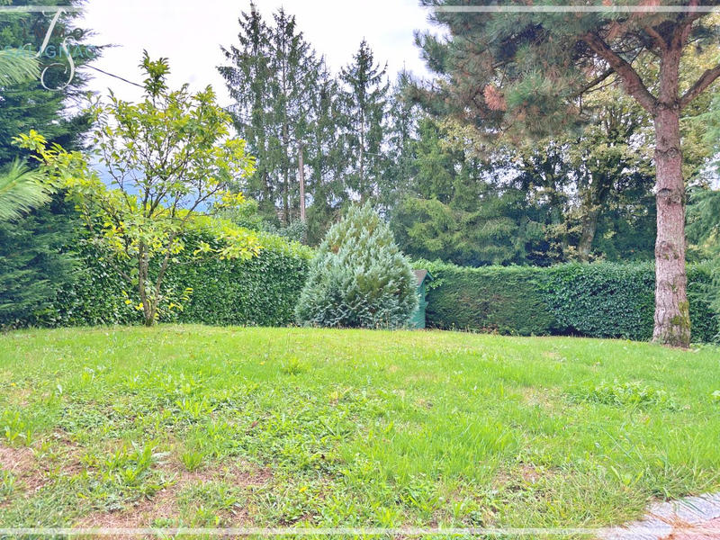 Maison - 280 m² - 8 pièces