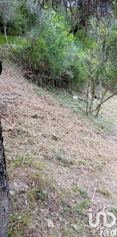 Terrain agricole - 9 300 m²