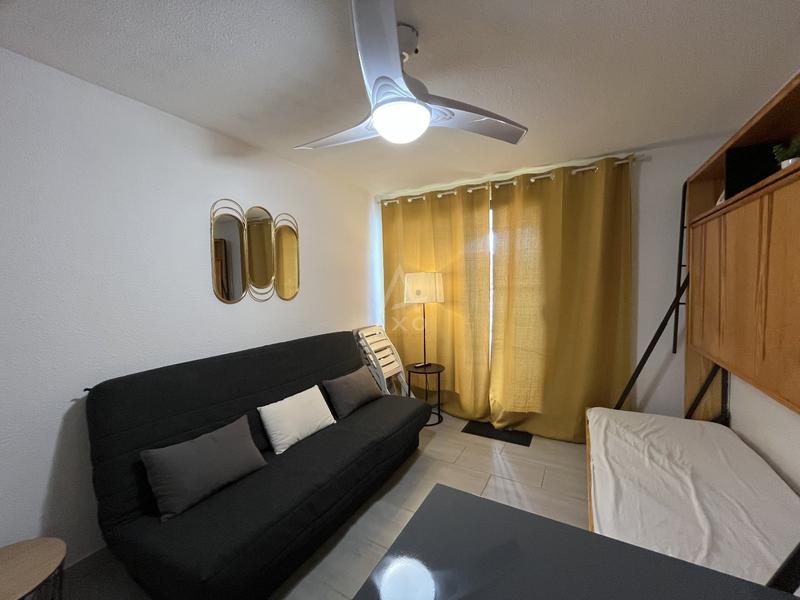 Studio - 40 m² - 1 pièce