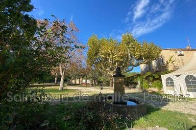 Mas - 2 700 m² - 12 pièces