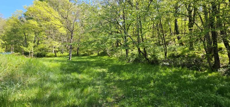 Maison - 191 m² - 10 pièces