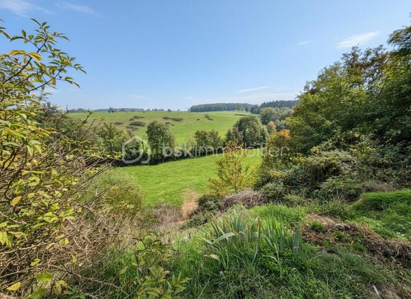 Propriété - 350 m² - 15 pièces