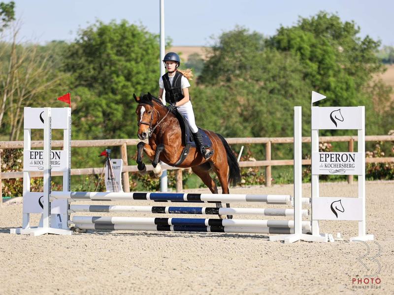 Concours de saut d'obstacles