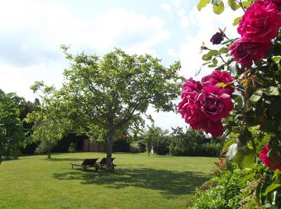 Maison - 430 m² - 11 pièces