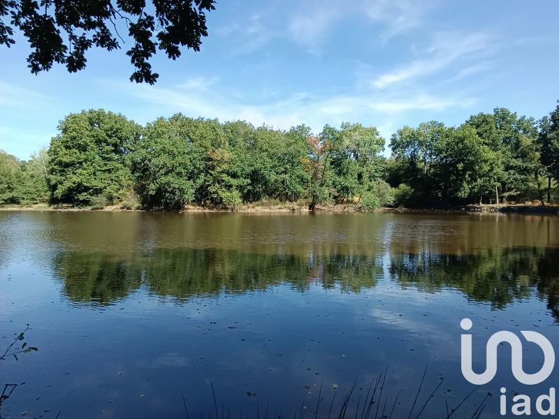 Terrain - 37 398 m²