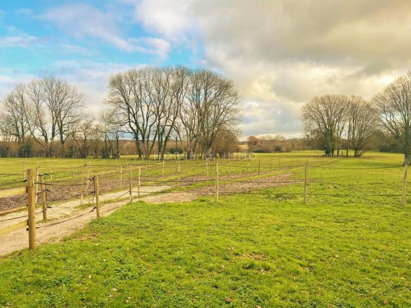 Maison de domaine équestre - 142 m² - 5 pièces