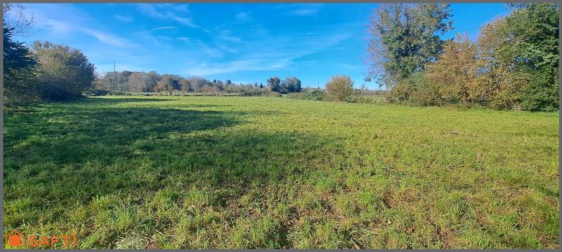 Terrain - 2 431 m²