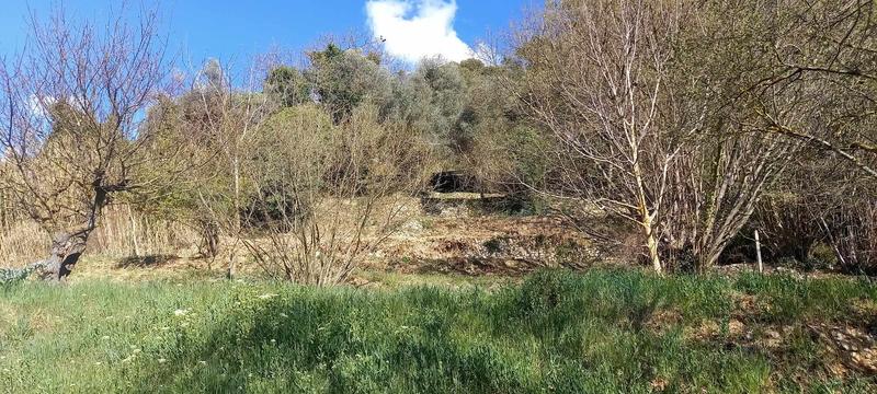 Terrain constructible - 2 000 m²