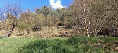 Terrain constructible - 2 000 m²