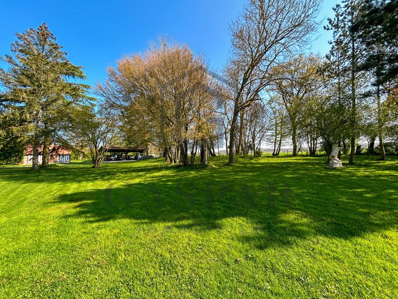 Château - 477 m² - 13 pièces