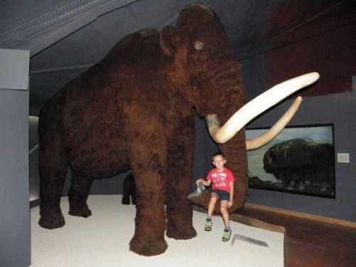 Grottes Prehistoriques de la Haute Ariege