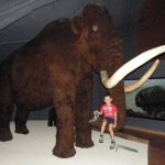 Grottes Prehistoriques de la Haute Ariege