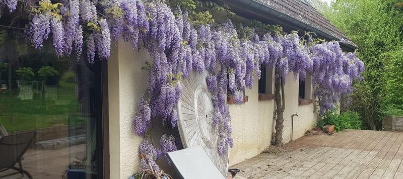 Maison - 149 m² - 7 pièces