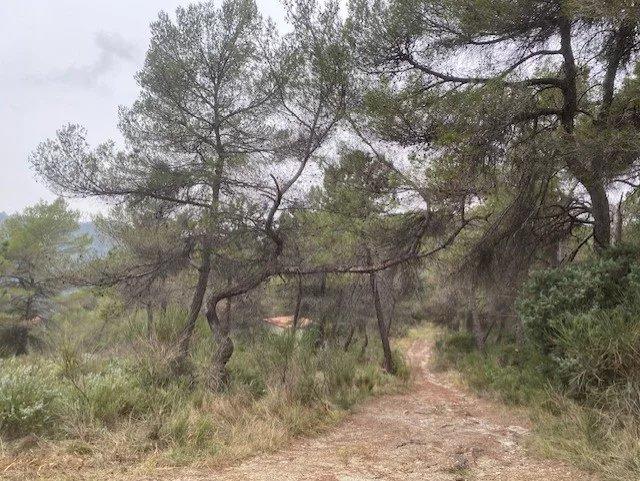 Terrain inconstructible - 11 915 m²