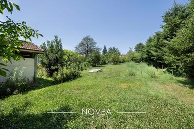 Terrain - 1 356 m²