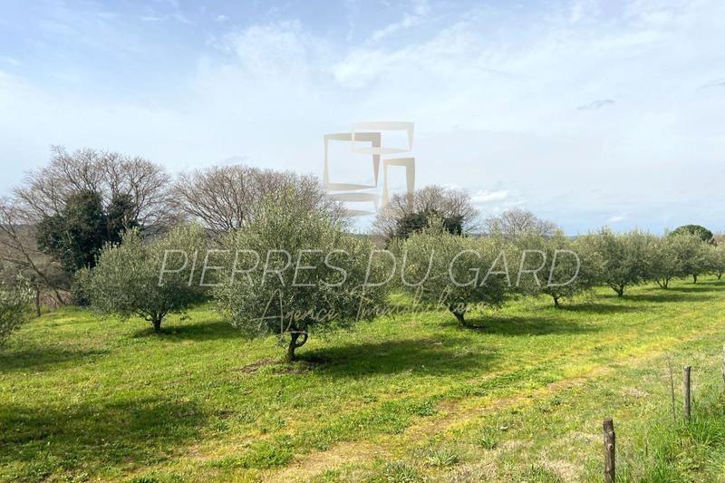 Terrain - 12 040 m²