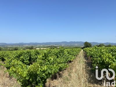 Terrain agricole - 58 175 m²