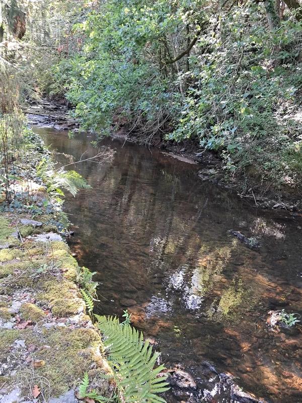 Propriété - 90 m² - 4 pièces