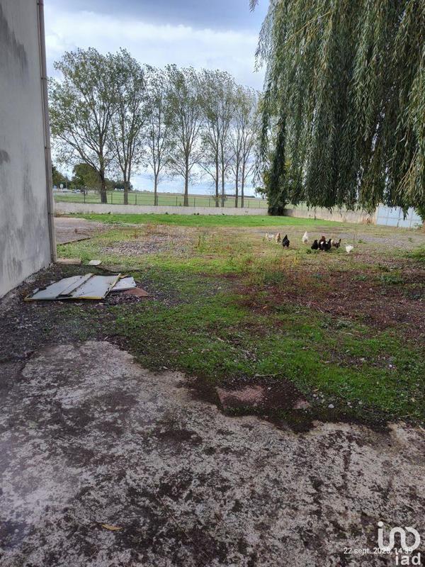 Local commercial - 400 m²