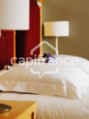 Fonds de commerce - 434 m²