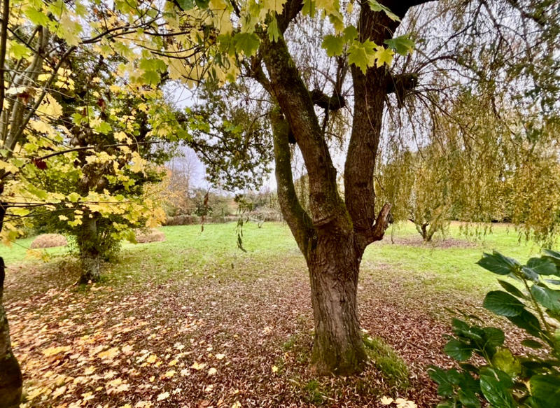 Maison ancienne - 130 m² - 6 pièces