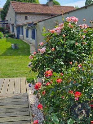 Propriété - 245 m² - 7 pièces