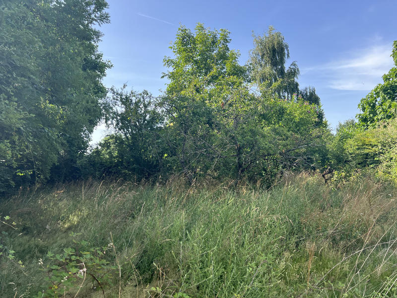 Maison - 113 m² - 5 pièces