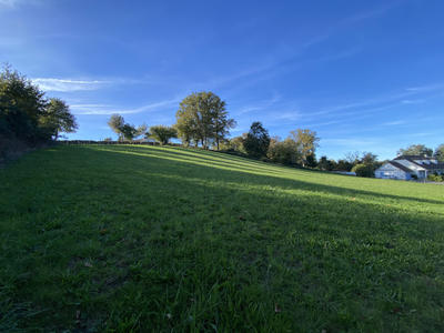 Terrain - 4 000 m²