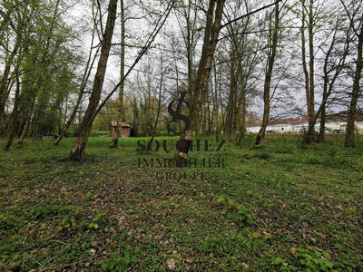 Terrain agricole - 3 426 m²