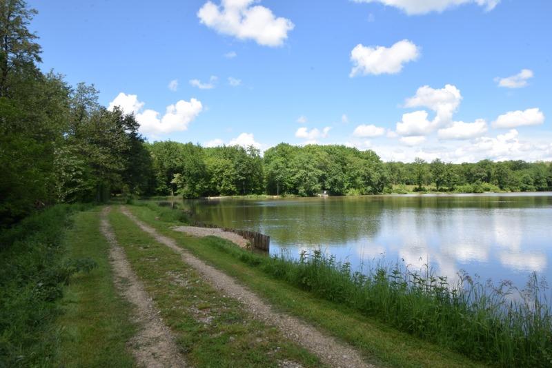 Étang - 51 252 m²