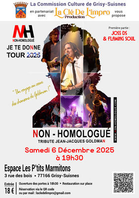 concert hommage à Jean-Jacques Goldman