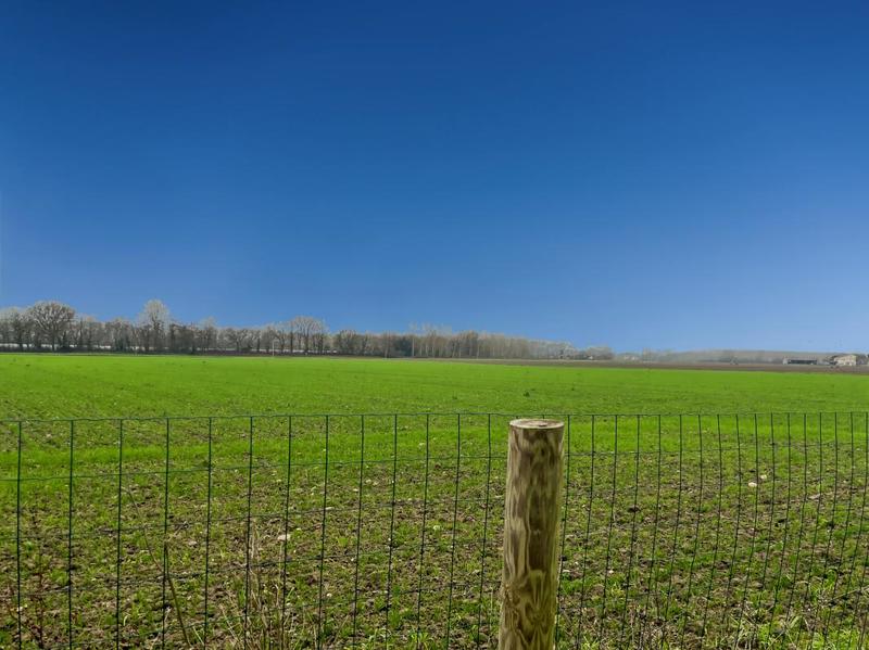 Maison - 155 m² - 5 pièces