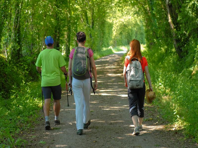 Randonnée pédestre "Fête des Jonquilles" à le Tourneur