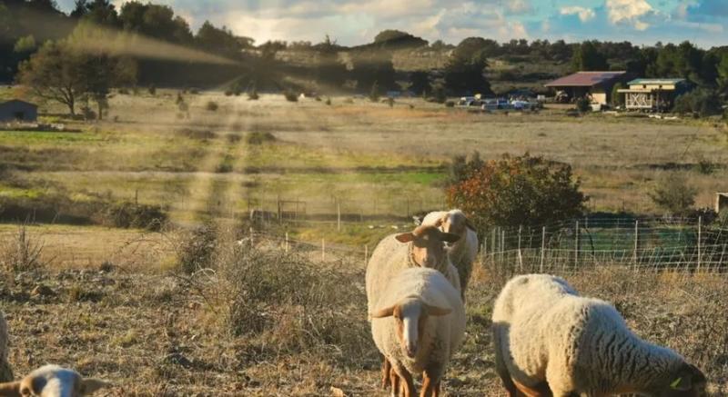 Terrain agricole - 900 m²