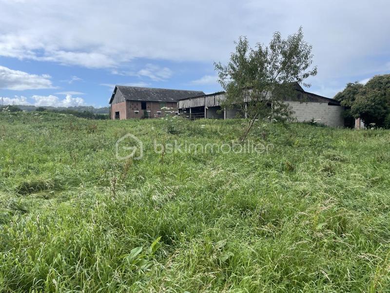 Corps de ferme - 175 m² - 6 pièces