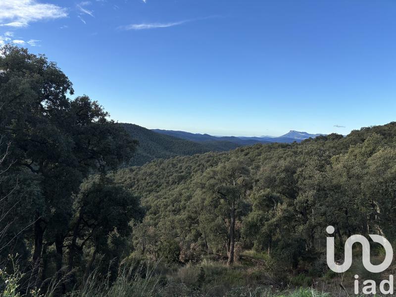 Maison - 270 m² - 9 pièces