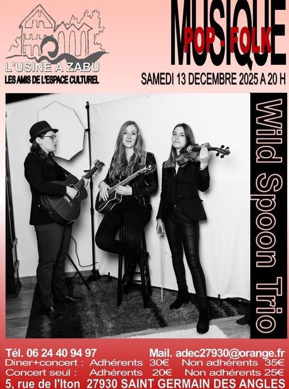 Concert : le Wild Spoon Trio à l'Usine à Zabu